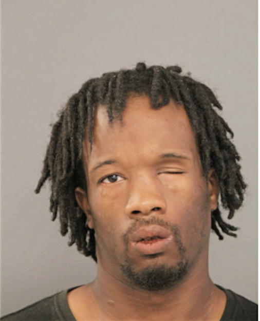 ANSARI MCKINNEY-WILLIAMS, Cook County, Illinois