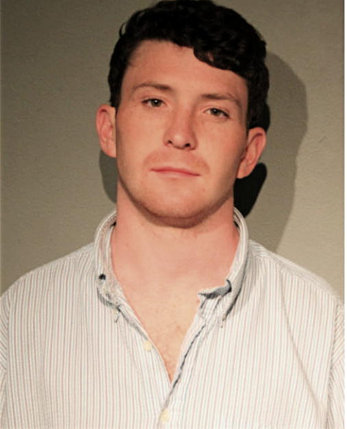 ANDREW LAWTON MCWILLIAMS, Cook County, Illinois