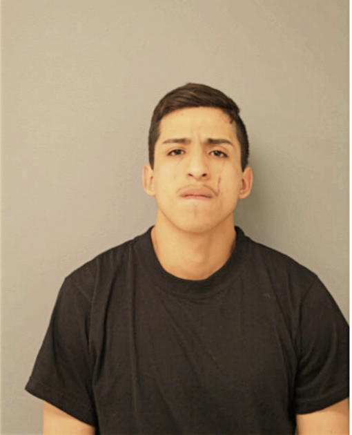 ARTURO NERI, Cook County, Illinois