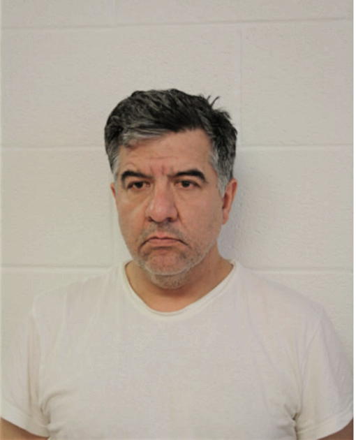 LUIS R PINEIROS, Cook County, Illinois