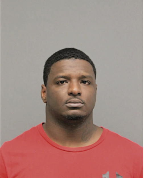 TERRY T RUSH, Cook County, Illinois