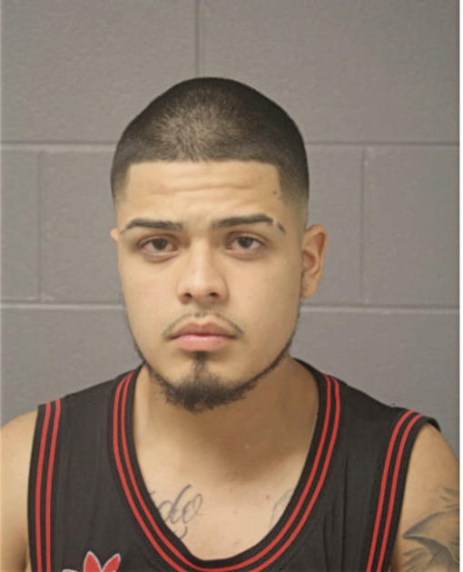 JOSUE A SALGADO, Cook County, Illinois