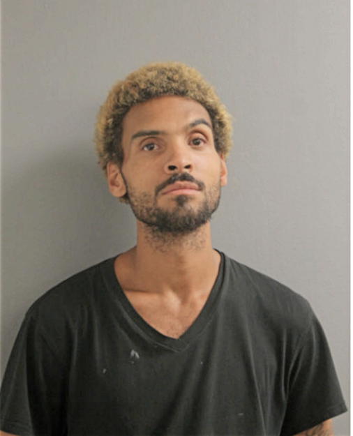 LUIS A SANTIAGO, Cook County, Illinois