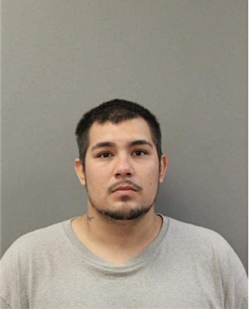 STEVO L STOJSAVLJEVIC, Cook County, Illinois
