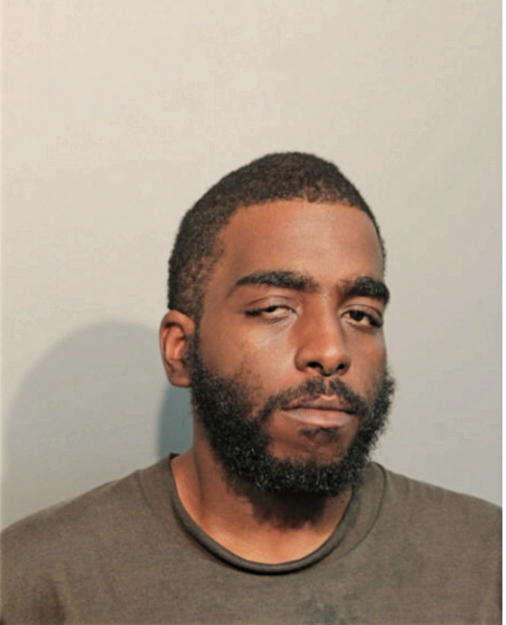 BRANDON C TAYLOR, Cook County, Illinois
