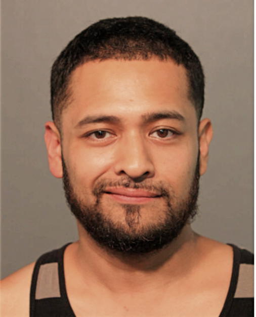 JAVIER BARCENAS, Cook County, Illinois