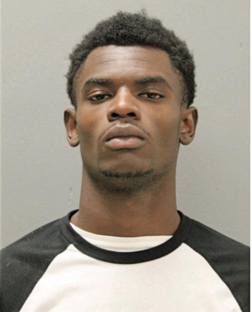 MAURICE T BROWN, Cook County, Illinois