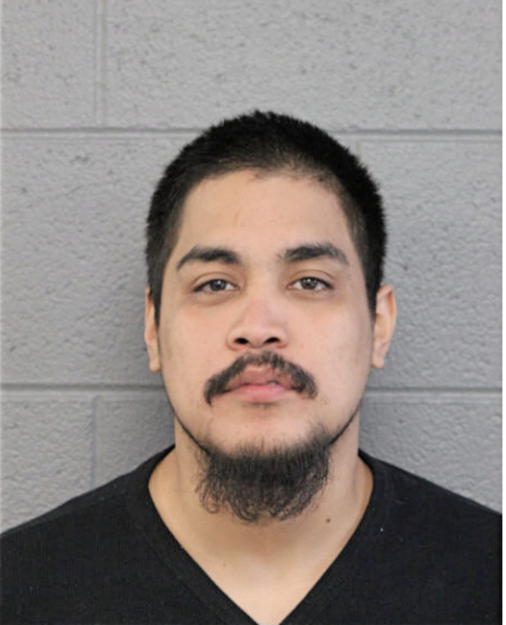ENRIQUE CARRERA, Cook County, Illinois