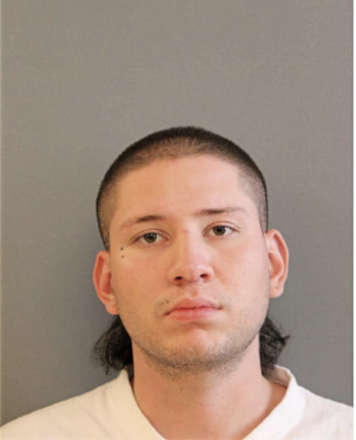 JOSE T DOMINGUEZ, Cook County, Illinois