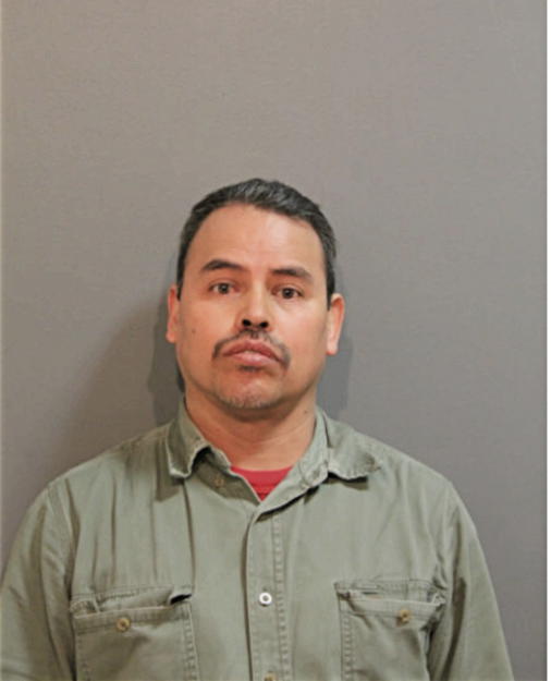 JAMIE S GONZALEZ, Cook County, Illinois