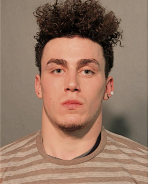 GREGORY LEE JOHNSON, Cook County, Illinois