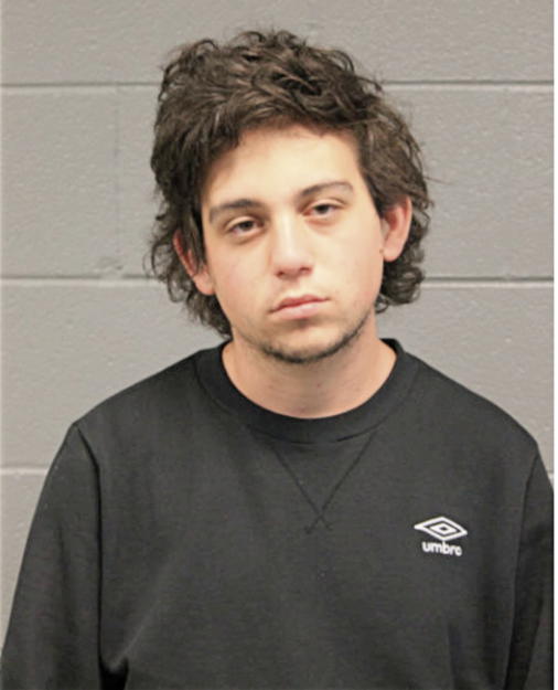 JACOB A LEVY, Cook County, Illinois