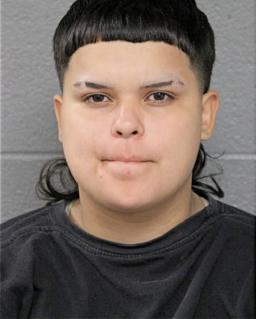 SOLEINE LEYVA, Cook County, Illinois