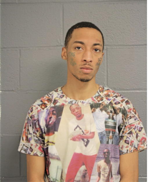 TYRICE K LITTLE, Cook County, Illinois