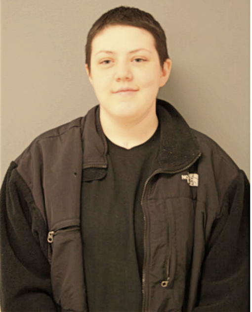 JESSICA K MONAHAN, Cook County, Illinois