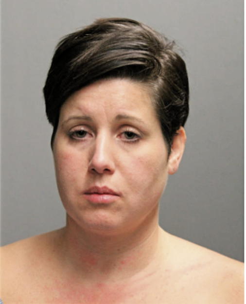 AMY L NOVOTNY, Cook County, Illinois