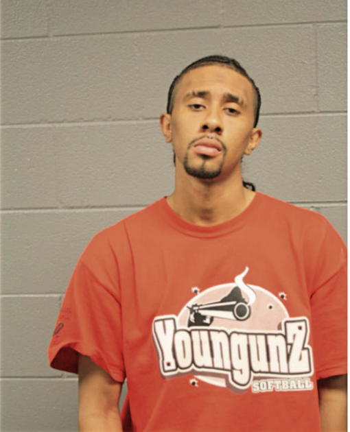 MAURICE W PELMER, Cook County, Illinois
