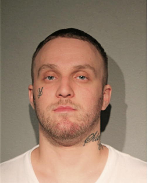 BEAU REYES, Cook County, Illinois
