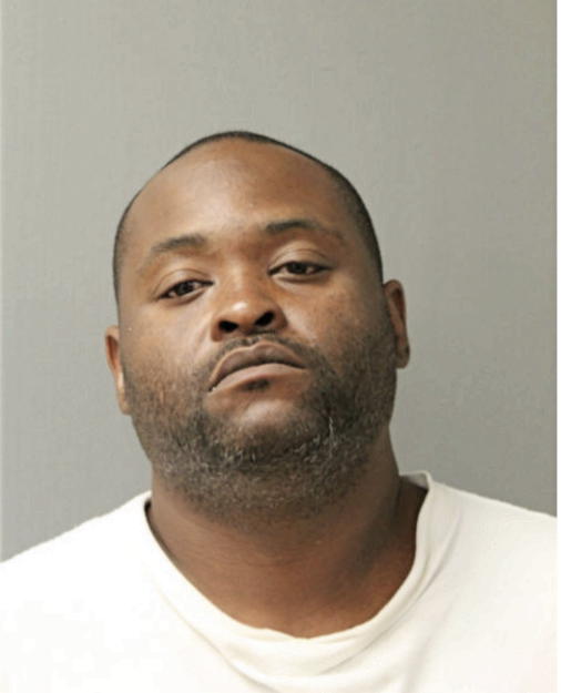 VINCENT L STEPHENS, Cook County, Illinois