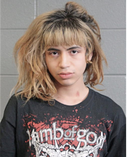 SEBASTIAN TOVER, Cook County, Illinois