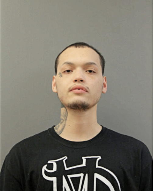 DAVY J VASQUEZ, Cook County, Illinois