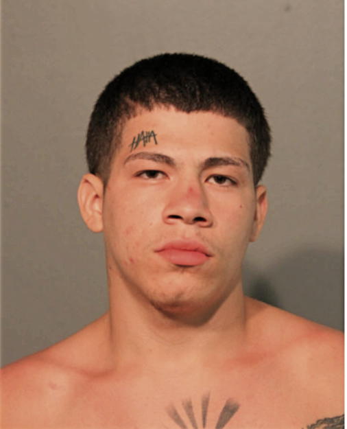 WILLIAM J VIRAMOTES, Cook County, Illinois