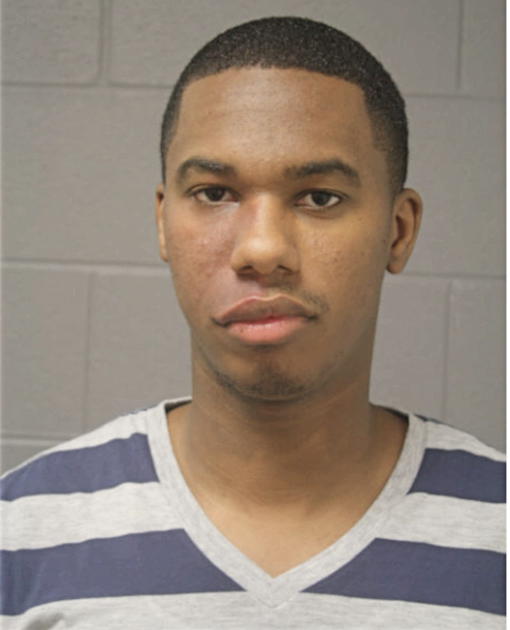 MICHAEL R WILLIS, Cook County, Illinois
