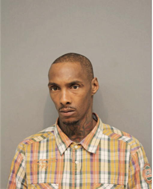 TAURUS D YOUNG, Cook County, Illinois