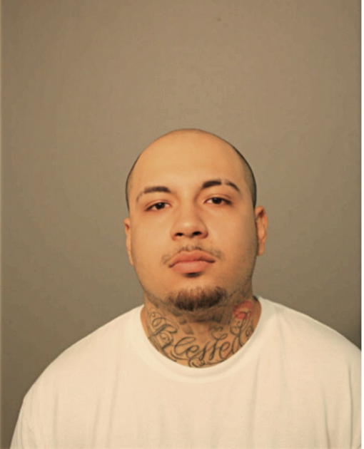 ARTHUR ANDREWS, Cook County, Illinois