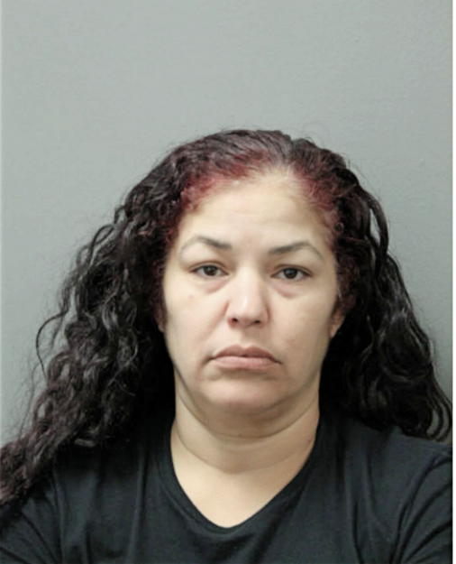 NOEMI APONTE, Cook County, Illinois