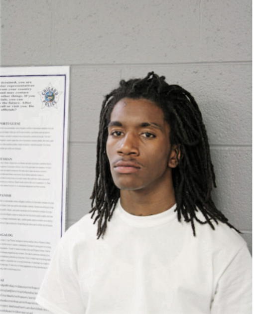 LESEAN D BROWN, Cook County, Illinois