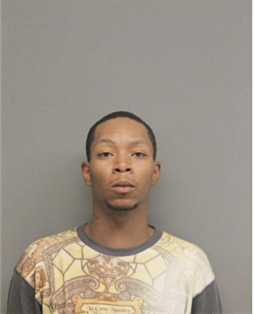 MICHAEL L BROWN, Cook County, Illinois