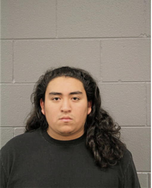 GABRIEL S CAMACHO, Cook County, Illinois