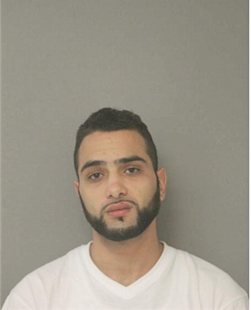 RAMZEY A DANA, Cook County, Illinois