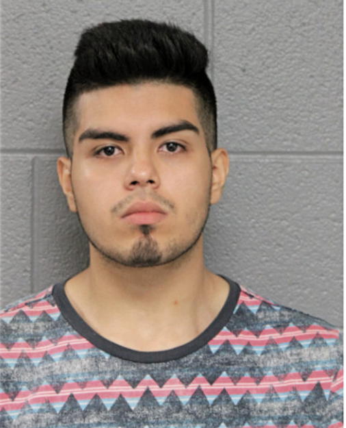 ANGEL M ESTRADA, Cook County, Illinois