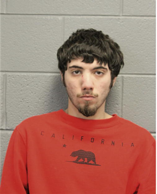 ADAM A HERNANDEZ, Cook County, Illinois