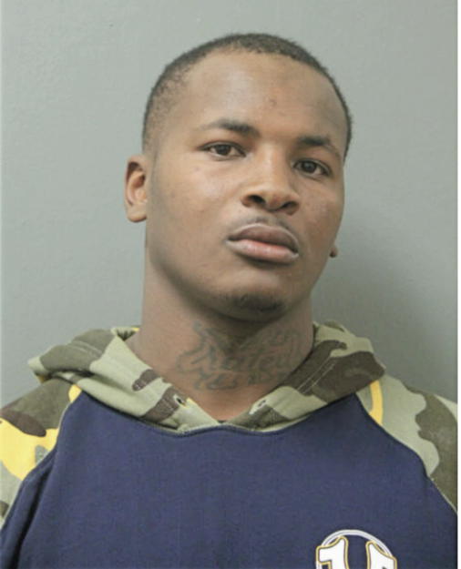 TERRANCE L JOHNSON, Cook County, Illinois