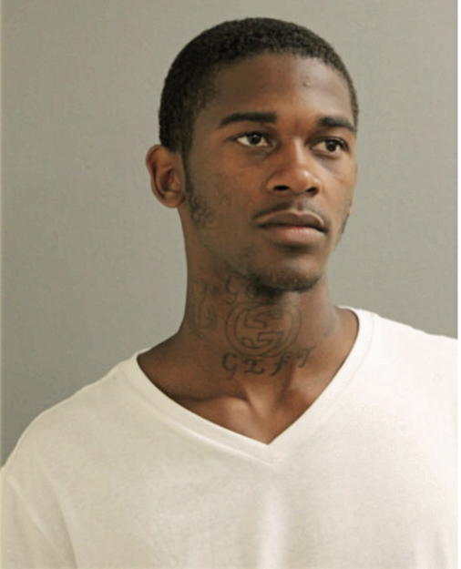 TION T LEWIS, Cook County, Illinois