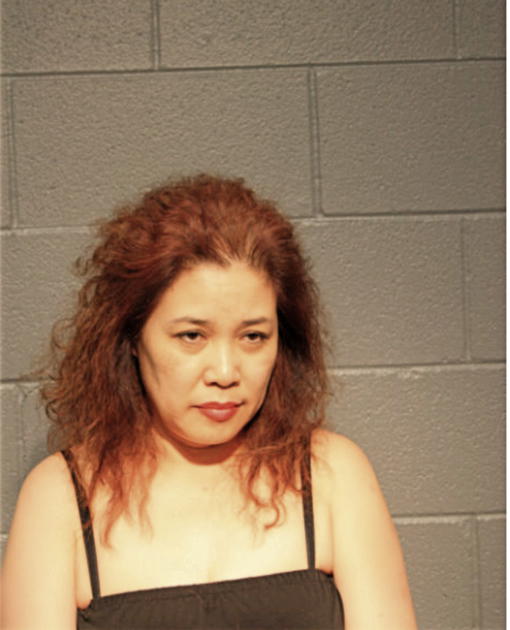 WANLI LI, Cook County, Illinois