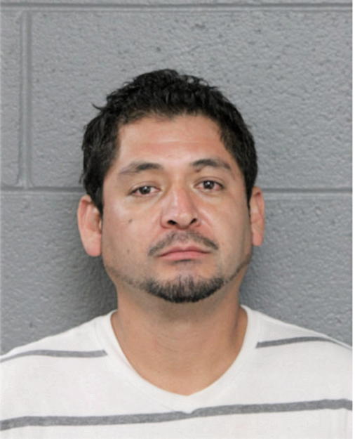 OMAR F LUNA, Cook County, Illinois