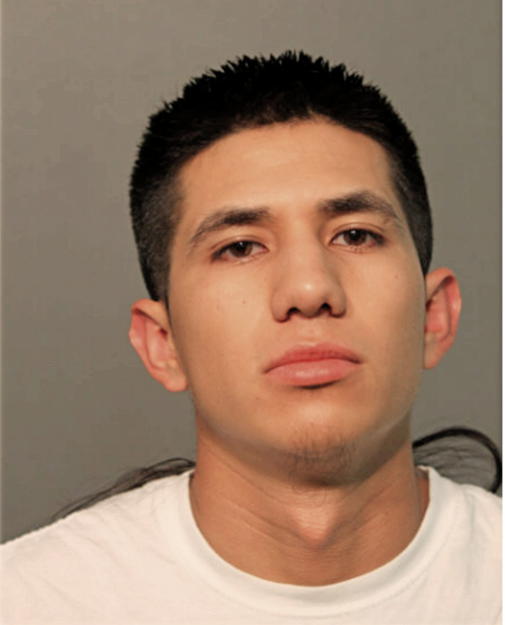 NOE MARTINEZ-REYES, Cook County, Illinois