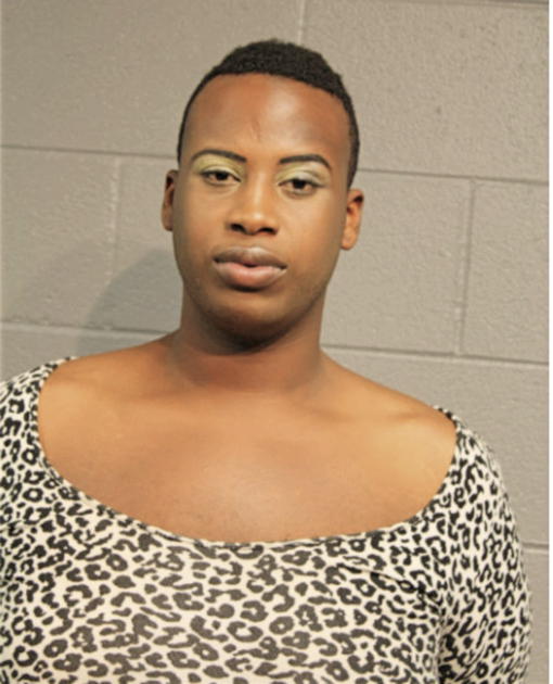 STEVEN M MCGOWAN, Cook County, Illinois