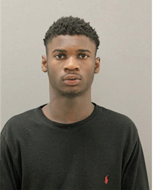 KOLAWOLE S OMOTADE, Cook County, Illinois