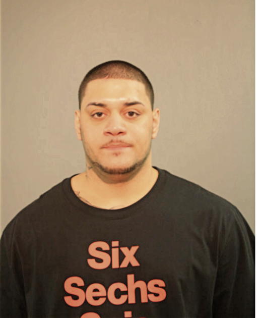 NICOLAS D ORTIZ, Cook County, Illinois