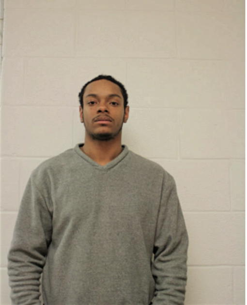 RAPHAEL L RAMOS, Cook County, Illinois