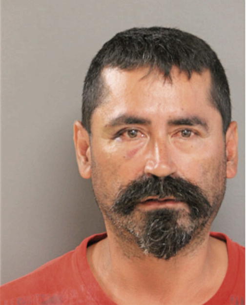 RENE ROSALES, Cook County, Illinois