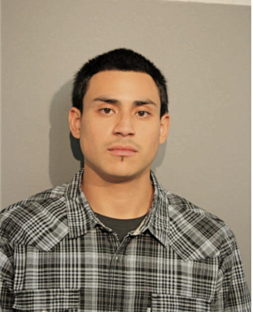 CHRISTIAN V SANCHEZ, Cook County, Illinois