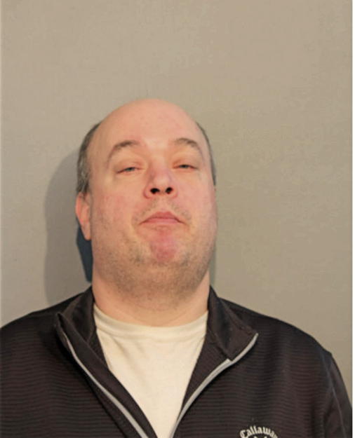 MICHAEL A STARCEVIC, Cook County, Illinois