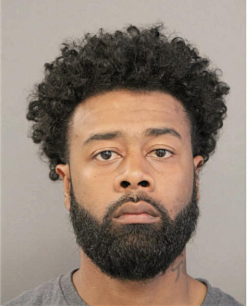 CHRISTIAN N STEPHENSON, Cook County, Illinois