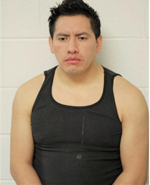 SEGUMDO VICTOR TENEZACA, Cook County, Illinois
